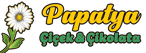 Mardin Papatya Çiçekçi